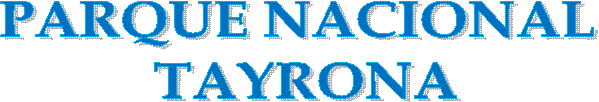 PARQUE NACIONAL   TAYRONA
