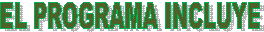 EL PROGRAMA INCLUYE
