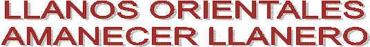 LLANOS ORIENTALES  AMANECER LLANERO